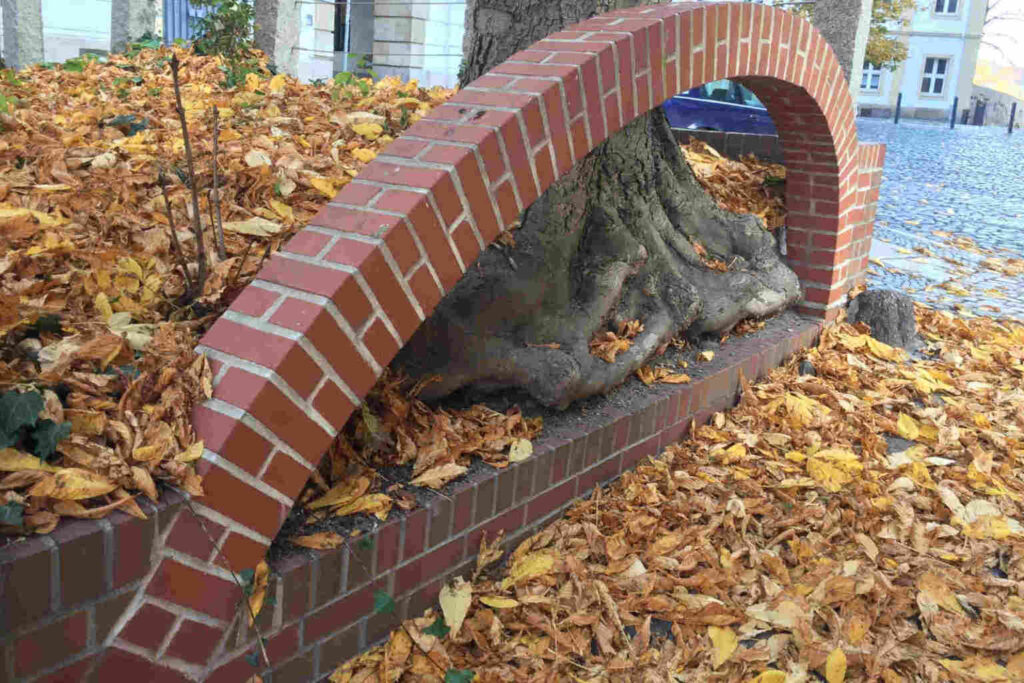 Ein gemauerter Bogen, unter dem die Wurzeln eines großen Baumes durchbrechen