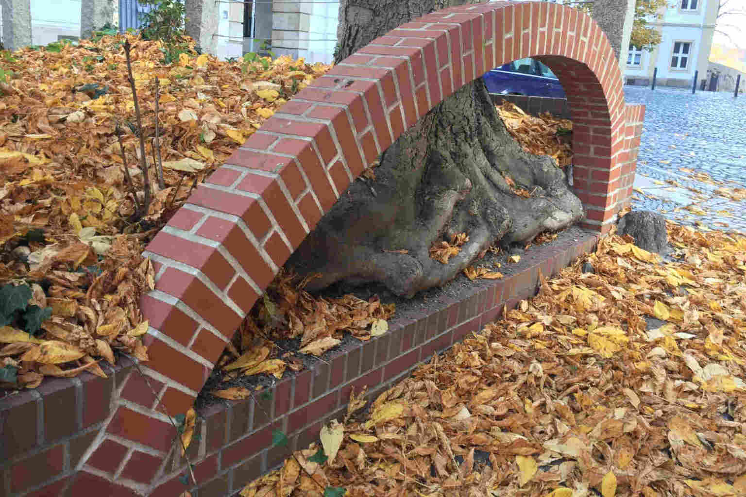 Ein gemauerter Bogen, unter dem die Wurzeln eines großen Baumes durchbrechen